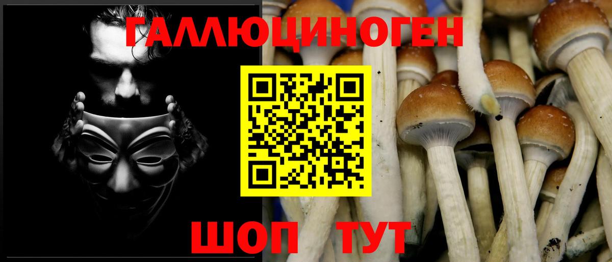 Галлюциногенные грибы Psilocybine cubensis  Вход с VPN  дарнет шоп  Аргун 