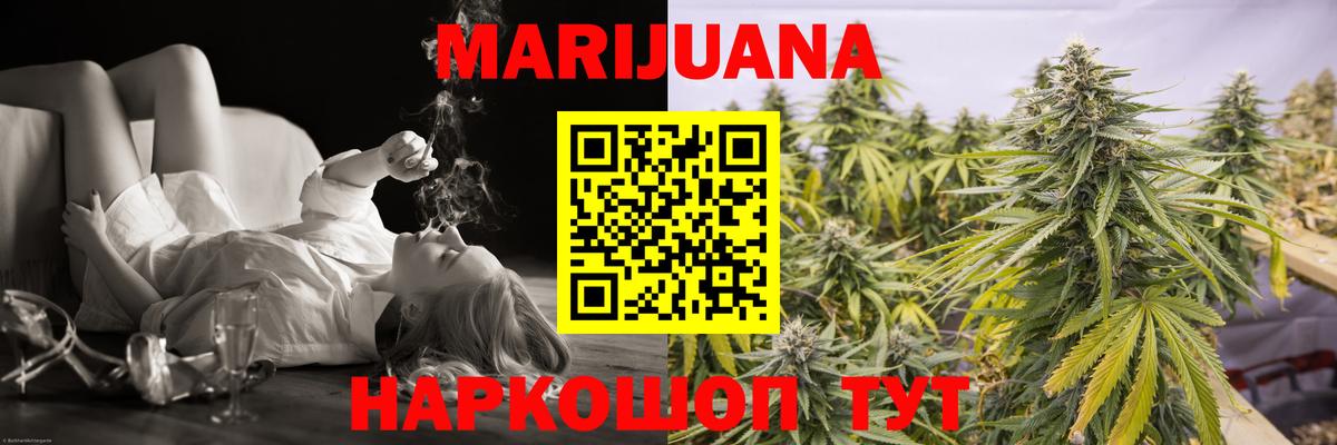 Каннабис OG Kush Аргун